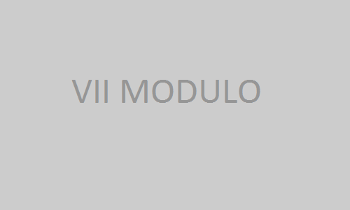 settimo_modulo